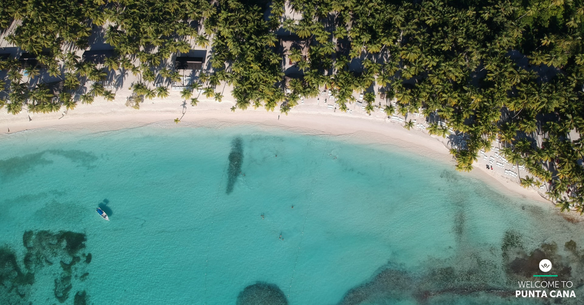 drone view of clear turquoise waters, white sand beach and green tree filled jungle